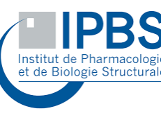 IPBS logo