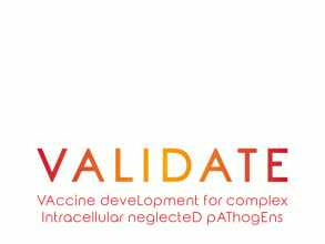 1,000 VALIDATE Members
