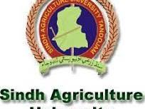 Sindh Agriculture University Tando Jam logo