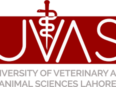 University of Veterinary and Animal Sciences logo