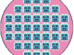 WTYIS Cells
