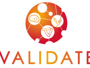 VALIDATE logo