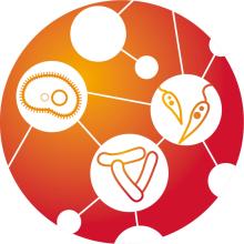 validate logo  big