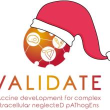 validate christmas