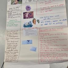 VALIDATE for Schools 2026 - Poster
