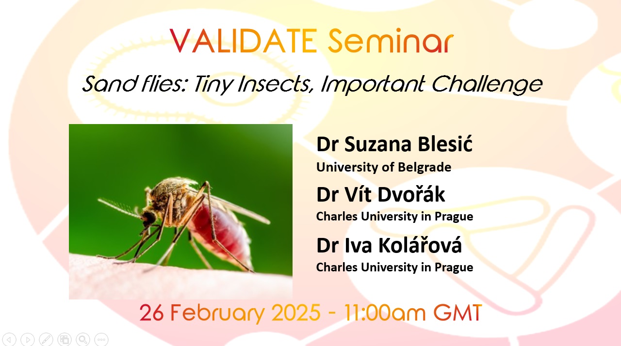 Sand Flies: Tiny Insects, Important Challenge